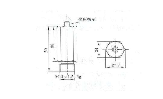 上海UZQ过压指示器